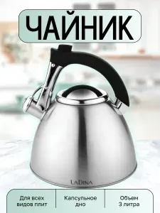 Чайник со свистком из нержавеющей стали