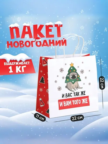 Пакет подарочный новогодний, 22 х 22 х 11 см