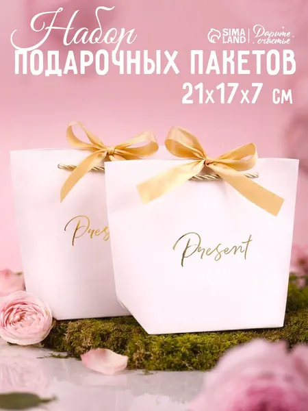Пакеты подарочные, набор 2 шт, 21 х 17 х 7 см