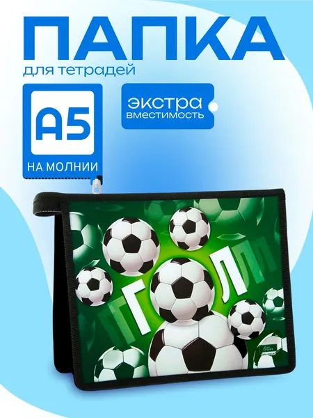 Папка для тетрадей А5, 190 х 230 х 50 мм, молния сверху, пластиковая, Calligrata "ГОЛ"