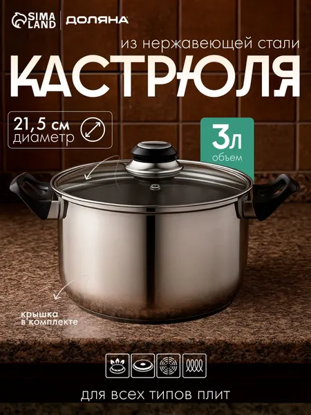 Кастрюля из нержавеющей стали, Доляна "Чёрная ночь", 3 л, диаметр 21,5 см, с крышкой, капсульное дно