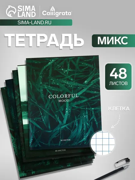 Тетрадь 48 листов в клетку, Calligrata Изумруд