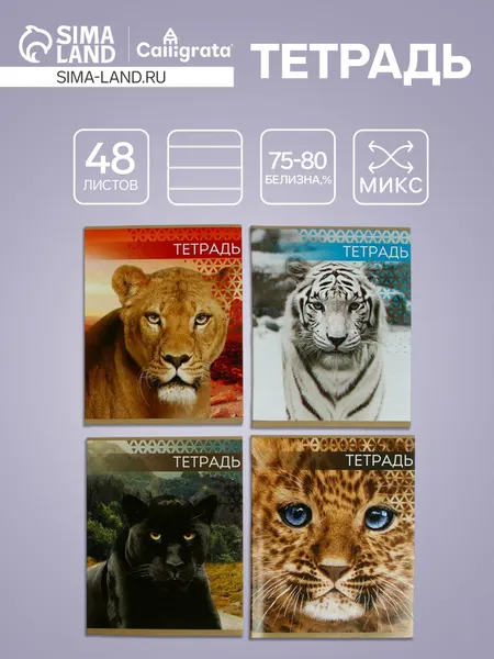 Тетрадь Дикие кошки , 48 листов, в клетку