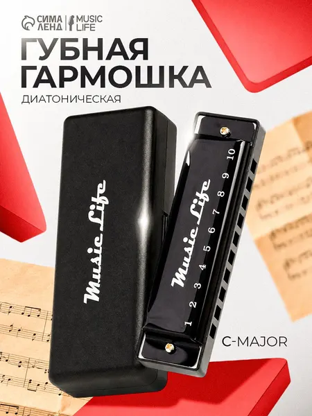 Губная гармошка диатоническая, C-major, с футляром, черная