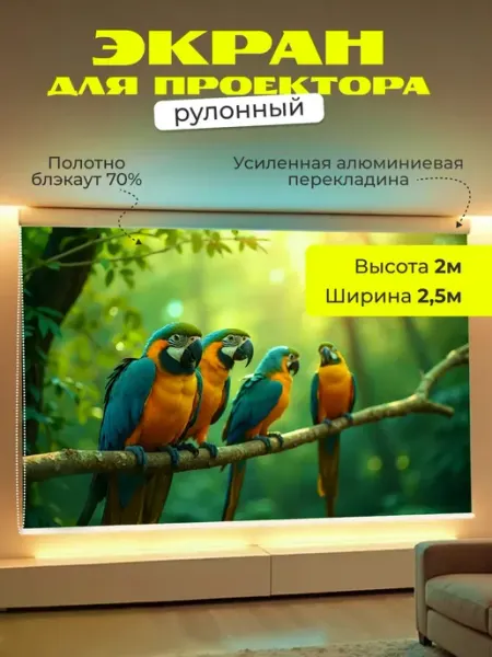 Gozhy Экран для проектора рулонный 2х2,5м