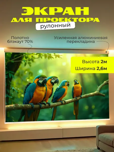 Gozhy Экран для проектора рулонный 2х2,6м