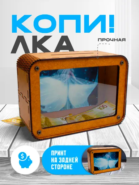 KopiCash Копилка для денег Infinity Nikki