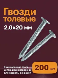 Гвоздь (200 шт) толевый оцинкованный 2х20