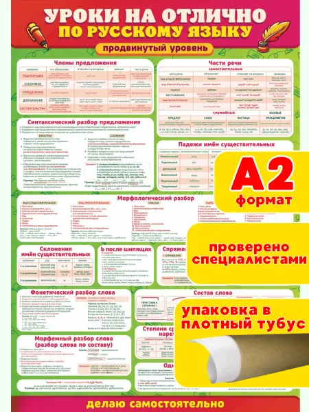 ИП Дзус Обучающий плакат Русский язык продвинутый уровень в школу
