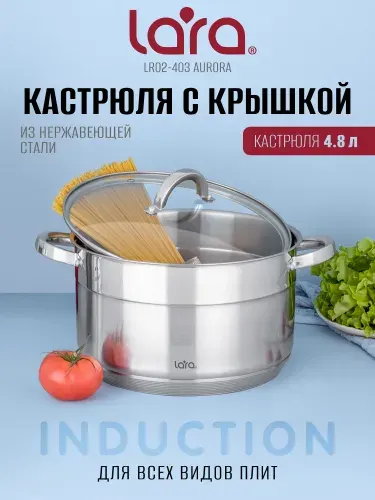 Lara Кастрюля 4,8 л из нержавеющей стали LR02-403