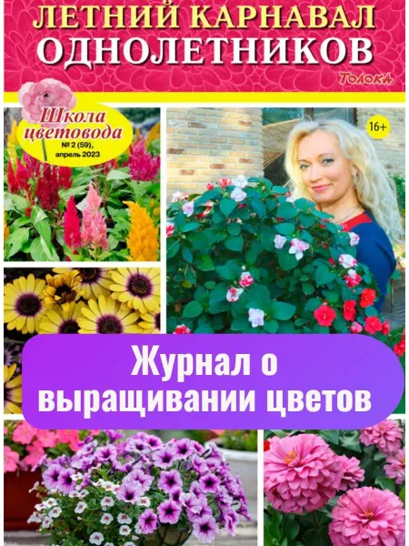 Цветок Школа Цветовода. Красивые цветы. Однолетники. №2 23