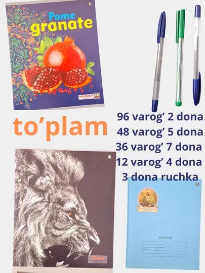 Набор из тетрадей и ручек для школы и университета