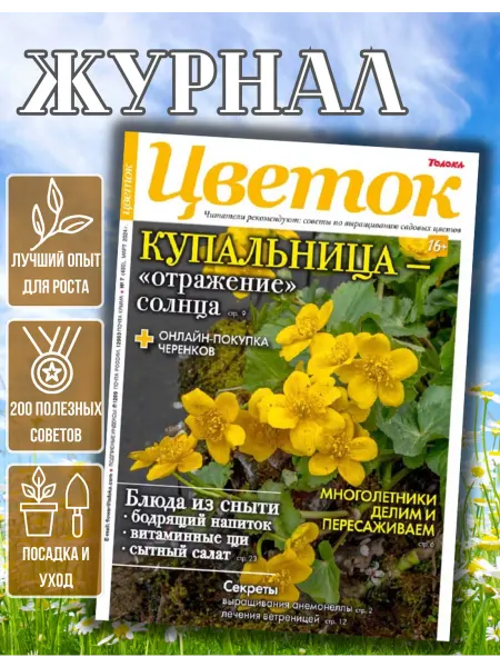 Цветок журнал о садовых цветах. Купальница № 7 24