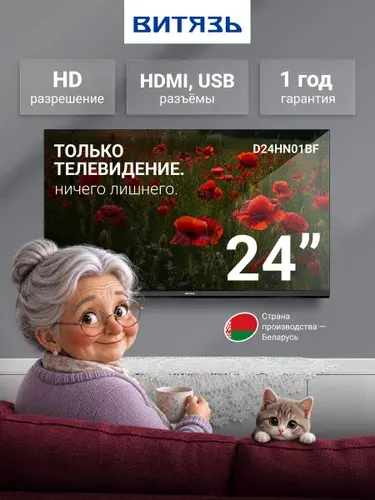 Витязь Телевизор D24HN01BF, с пультом ДУ, HD, DLED, time shift, 24″ HD, черный