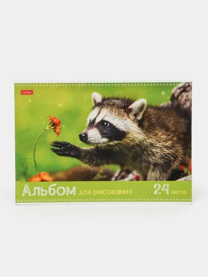 Альбом для рисования Hatber Ассорти, А4, 24 листа