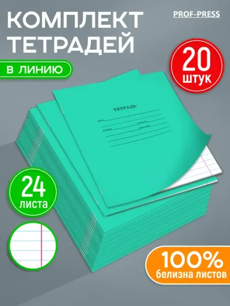Prof-Press Тетрадь в линейку 24 листа 20 штук