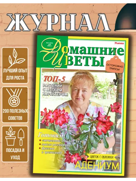 Домашние цветы журнал. Комнатные растения №5 25 Адениум
