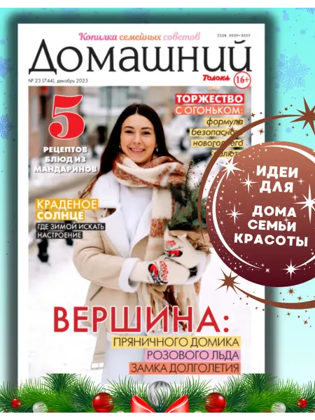 Домашний журнал Журнал. Домашний№23 25. Новогодний