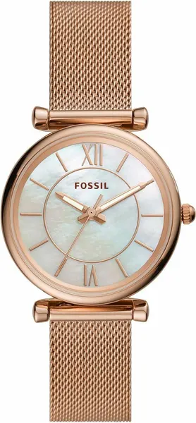 FOSSILНаручные часы