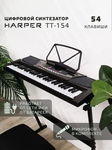 Синтезатор профессиональный для начинающих Harper TT-154 black, цифровой, 54 клавиши, 255 тембров, функция записи