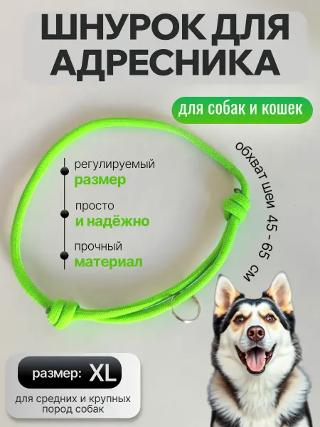 КАБАЧОК Шнурок для адресника для крупных собак