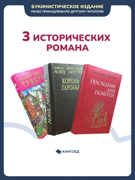 Книгоед 3 исторических романа