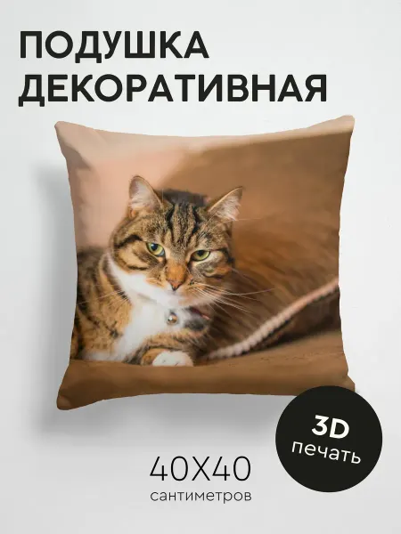 365home Подушка декоративная, 40x40см Животные кошка взгляд