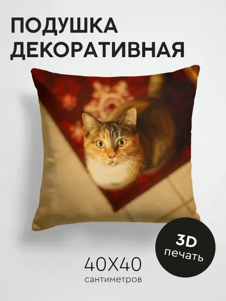 365home Подушка декоративная, 40x40см Животные кот вид сверху