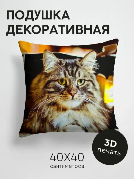 365home Подушка декоративная, 40x40см Животные кот коробка