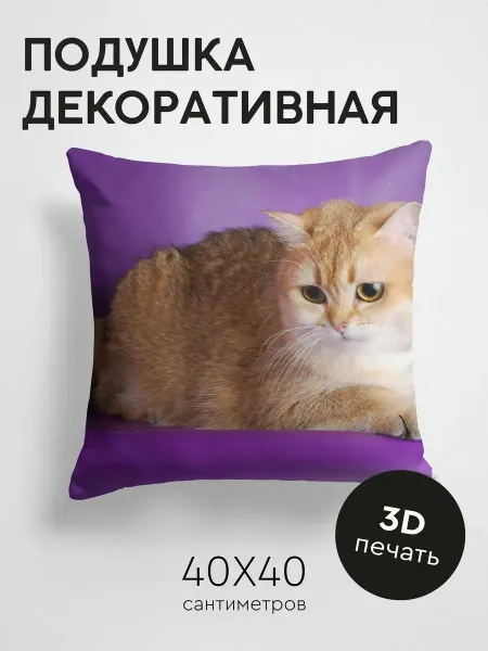 365home Подушка декоративная, 40x40см Животные кот красивый