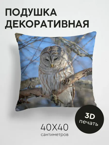 365home Подушка декоративная, 40x40см Животные птица перья