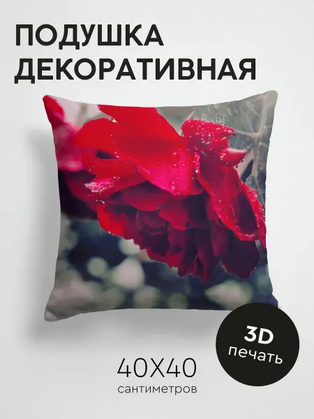 365home Подушка декоративная, 40x40см Макро трава капли