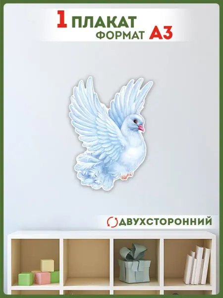 ТМ Империя поздравлений плакат на стену голубь для школы детского сада для детей А3