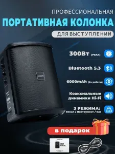 Портативная колонка беспроводная Y1MAX с Bluetooth 5.3/колонка блютуз беспроводная большая/300 Вт/6000 мАч/Коаксиальные динамики Hi-Fi/6,35 мм(TRS)/3,5мм/USB/AUX/Микрофонный вход