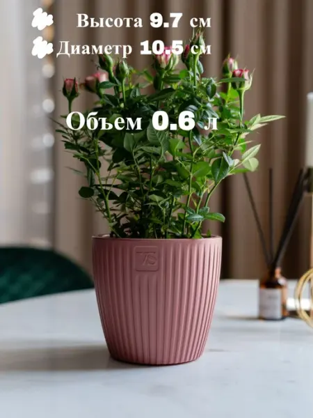 VipSet Горшок двойной с дренажной системой Эви 0,6 л Пудра