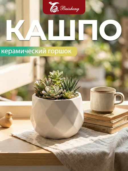 Маленький белый фигурный горшок для суккулентов