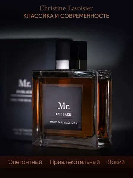 CHRISTINE LAVOISIER PARFUMS Духи мужские стойкие со шлейфом Mr. In Black 100 мл