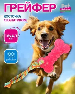 Игрушка для собак Pet Universe Мини косточка с канатиком, размер 18*4.3 см, жевательная игрушка для прорезывания и чистки зубов, ухода за дёснами. Для щенков и взрослых. PU3006R