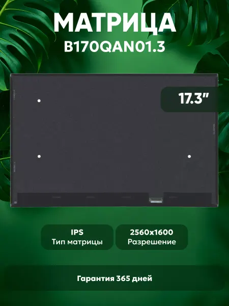 Batme Матрица для ноутбука B170QAN01.3