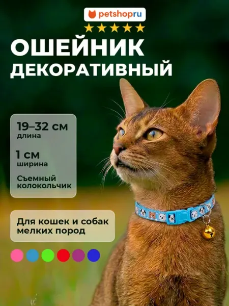 PetShop Ошейник для кошек и собак "Зорик", 19-32*1 см