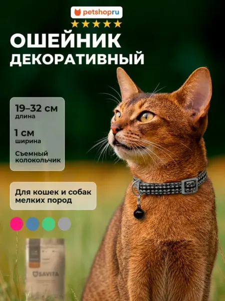 PetShop Ошейник для кошек и собак "Комфорт", 19-32*1 см
