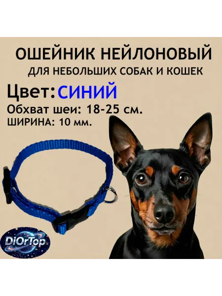 Ошейник для маленьких собак и кошек. Синий. Обхват 18-25см
