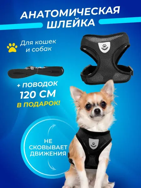 C&D Шлейка для собак и кошек