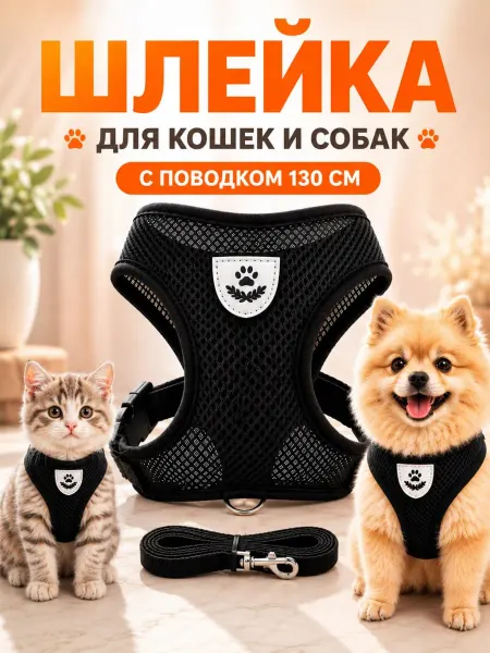 KINGDOM pets Шлейка прогулочная с поводком для собак и кошек