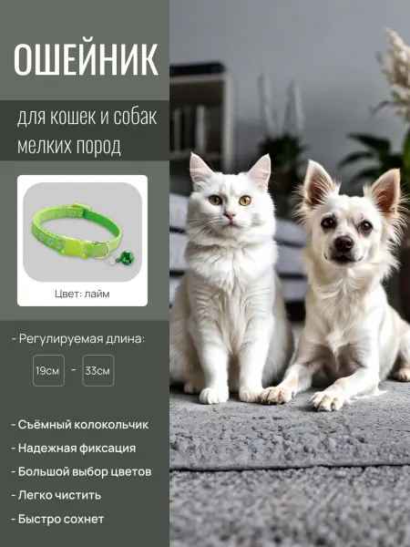 Margot's Store Ошейник для кошек и маленьких собак