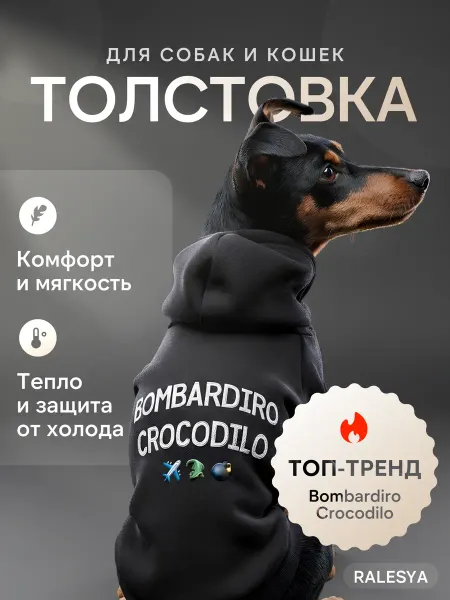 Толстовка для собак и кошек