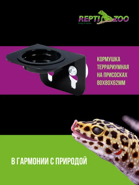 Repti-Zoo Кормушка 01SX террариумная на присосках, 80*80*62мм