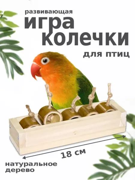 ParrotsLab Тренажер игрушка для попугаев и птиц "Колечки", 18см