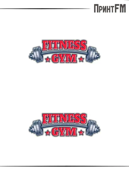 ПринтFM 2-е (Две) Термонаклейки фитнес gym