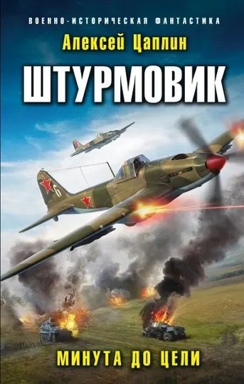 Штурмовик. Минута до цели, Алексей Цаплин